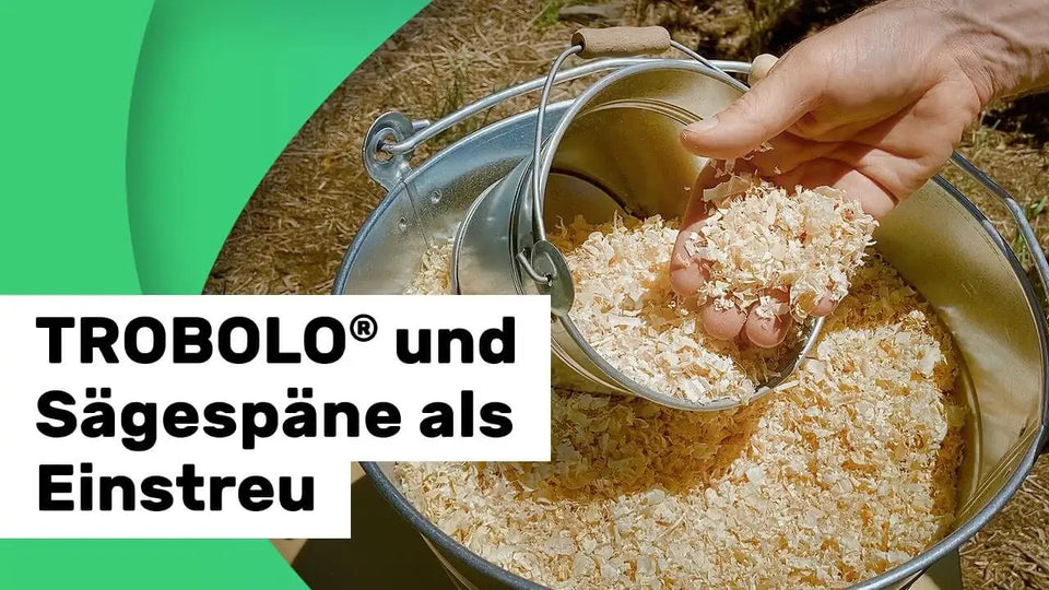 Lassen sich hauseigene Saegespaene oder Holzhaecksel als Einstreu benutzen