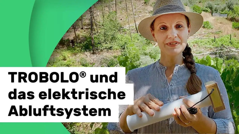 Wie funktioniert das elektrische Abluftsystem