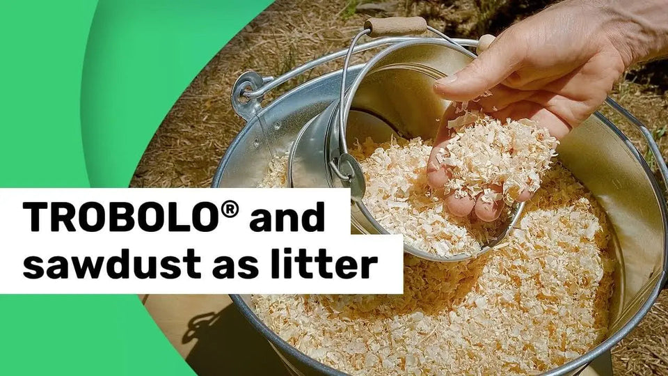 Can sawdust or wood chips produced at home be used in place of the litter