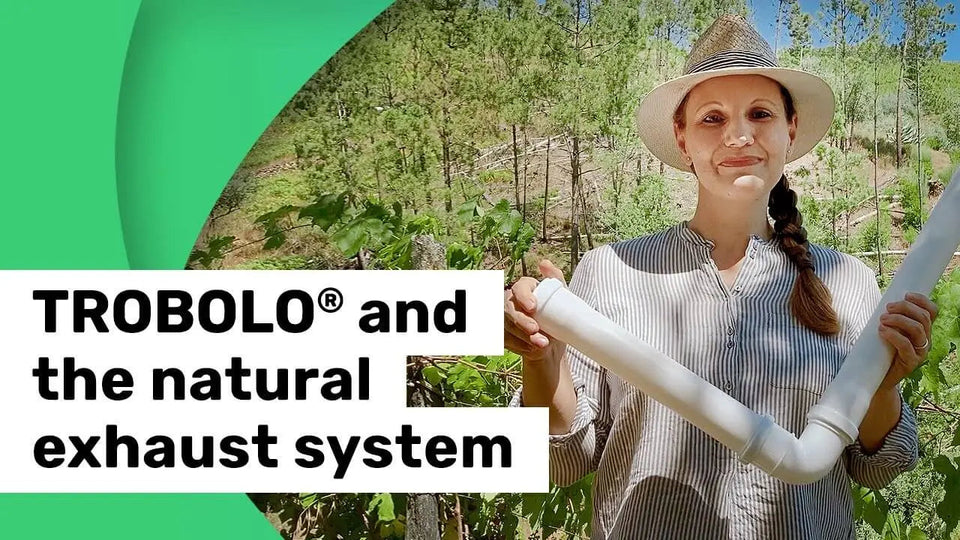 How does the natural exhaust system function