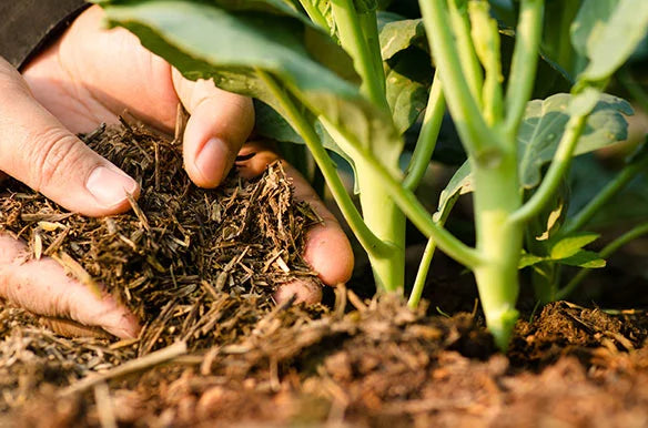 Compostage des nutriments