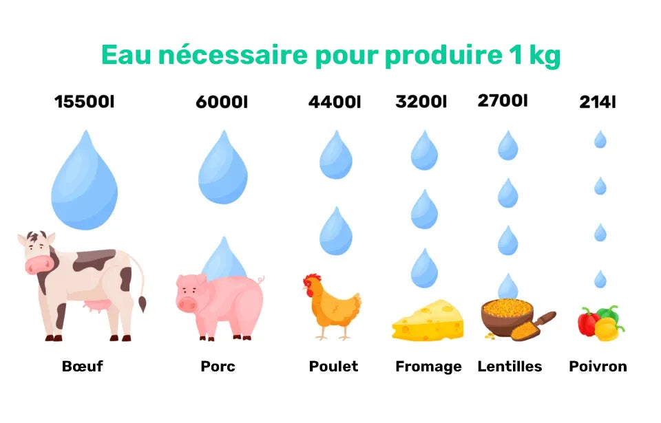 Eau necessaire pour produire 1kg