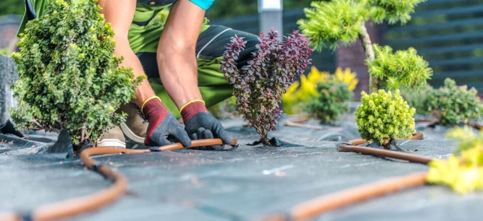 Effiziente Gartenbewasserung