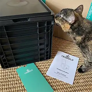 camping toilet unboxing with a cat