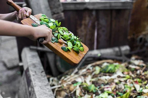 compostage des déchets de cuisine