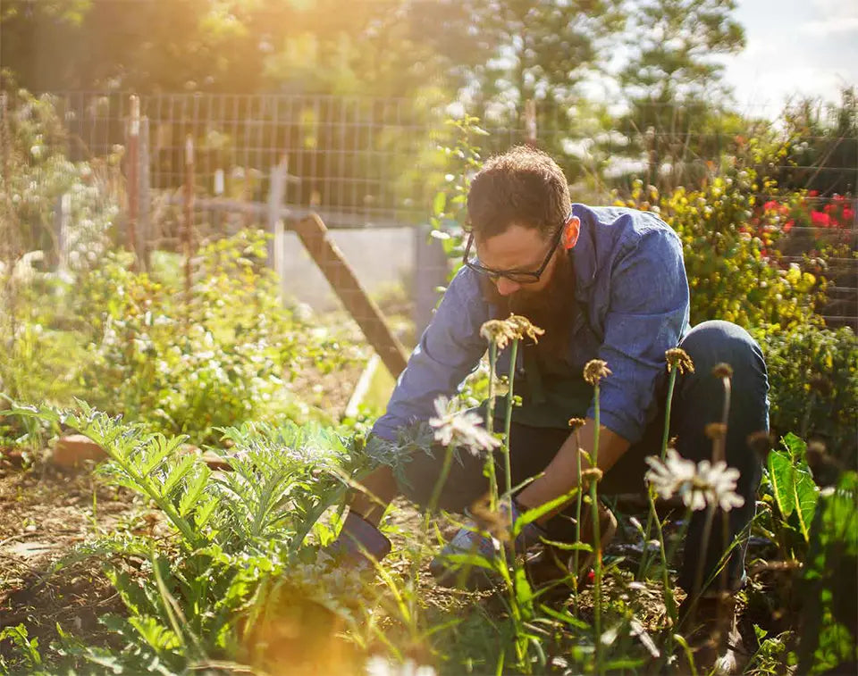 A man working in garden