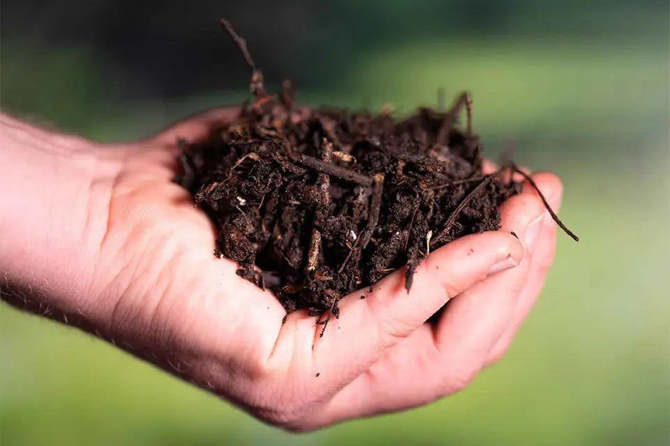 composting soil