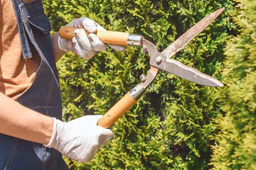  Garden and hedge shears or shredder