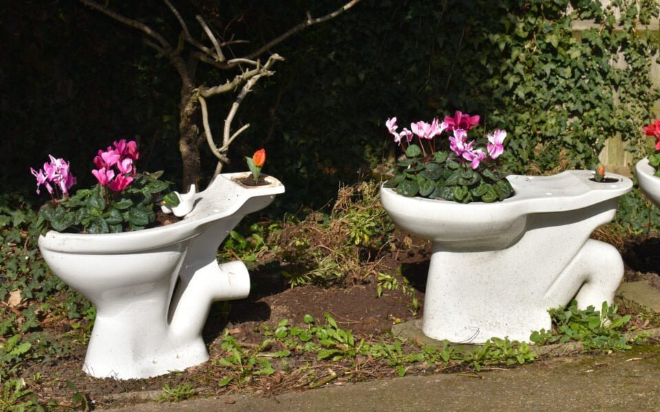 Toilettenbecken mit Blumen bepflanzt