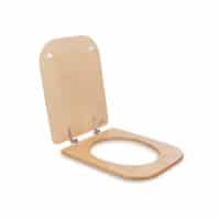 Toilet_seat_with_lid_1