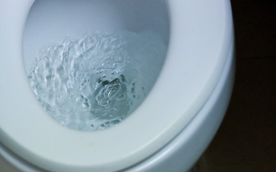 Wasserverschwendung durch Toilettenspülung
