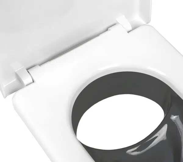 Separating toilets insert gray and toilet seat white